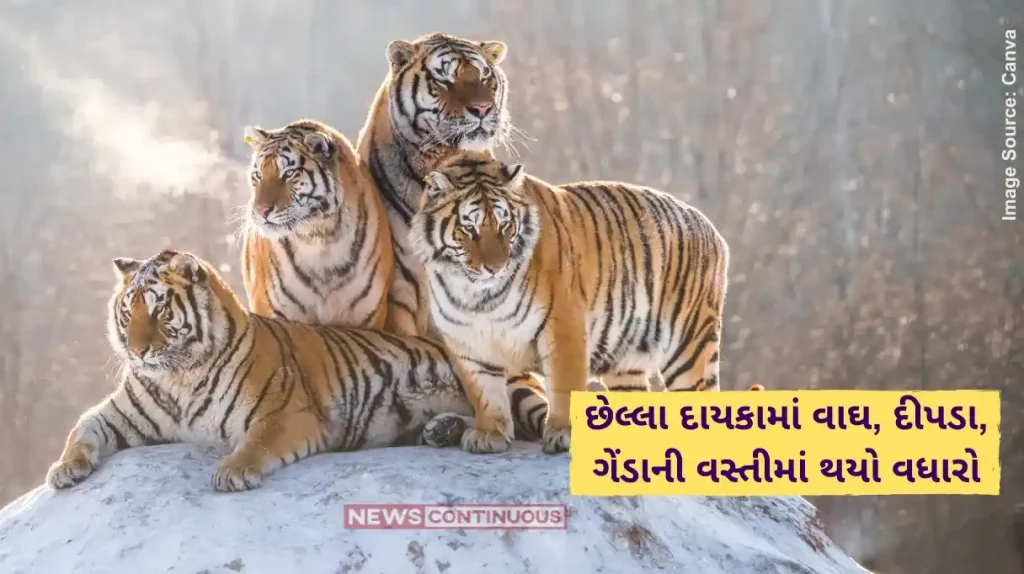 World Wildlife Day In the last decade, the population of tigers, leopards, rhinos has increased.