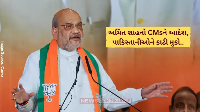 Amit Shah on Pakistanis Amit Shah dials all CMs, asks them to ensure no Pakistani citizens stays in India beyond deadline