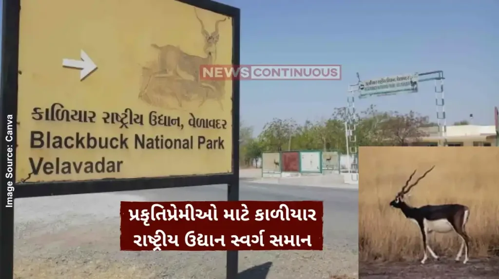 Blackbuck National Park Offbeat travel experiences in Gujarat you never knew existed