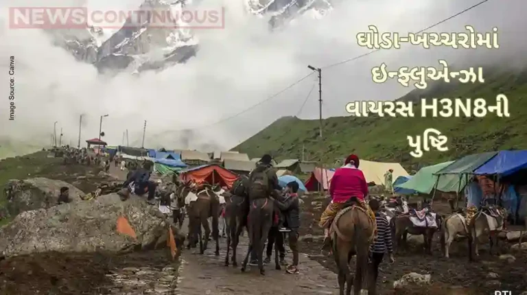 Char Dham Yatra 2025 Influenza Virus H3N8 Confirmed in Many Horses and Mules, Over 100 Deaths in 2009 Char Dham Yatra 2025: Influenza Virus H3N8 Confirmed in Many Horses and Mules, Over 100 Deaths in 2009