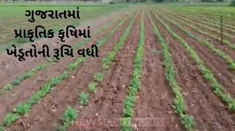 Farmers' interest in natural agriculture has increased in Gujarat