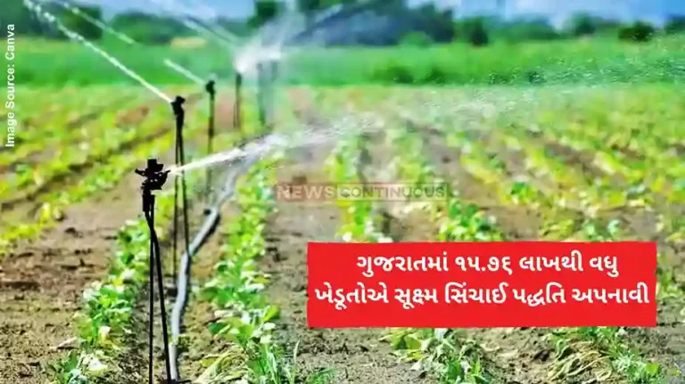 Gujarat Sinchayee Yojana In Gujarat, more than 15.76 lakh farmers have adopted micro-irrigation system in an area of ​​24.34 lakh hectares in the last two decades.
