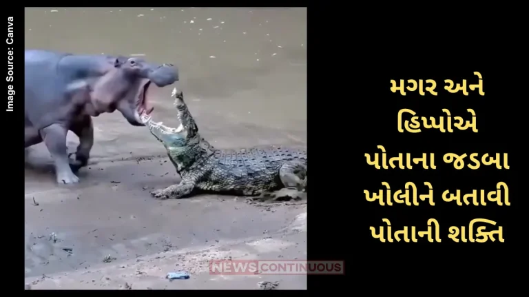 Hippopotamus Vs Crocodile Fighting Whose Jaws Are More Powerful Hippopotamus Vs Crocodile Fighting Whose Jaws Are More Powerful