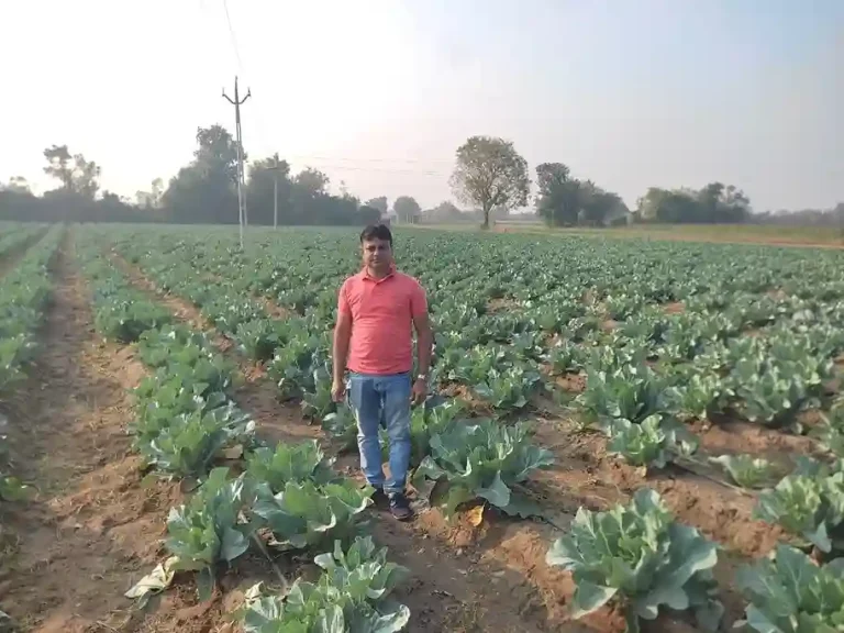 iKhedut Portal: Continuous development of horticulture in Ahmedabad, horticultural farmers get benefits of government schemes sitting at home through i-Khedut Portal