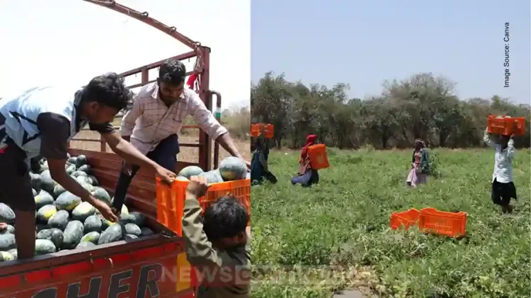 Nasarpore village: Highly educated tribal youth from Nasarpore village became self-reliant through modern agriculture
