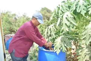 Natural Farming Farmer Pradipbhai Neta started natural farming after retirement