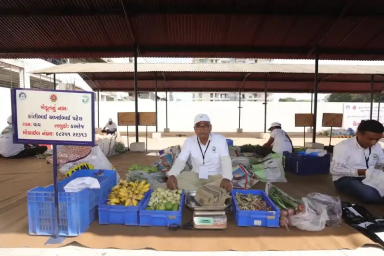 Natural Farming Kantibhai Patel, a farmer from Vav village in Kamrej, earns a good income from banana and barley cultivation.