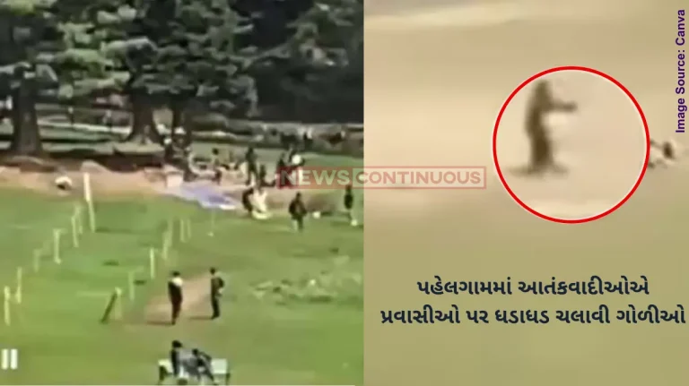 Pahalgam Attack Video Disturbing video of Pahalgam horror, terrorists round up tourists, shoot them