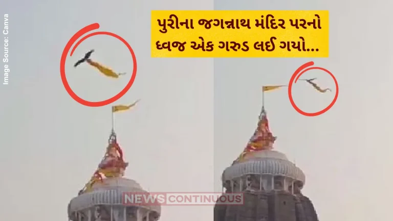 Puri viral video Eagle Spotted Flying With Sacred Flag From Puri's Jagannath temple