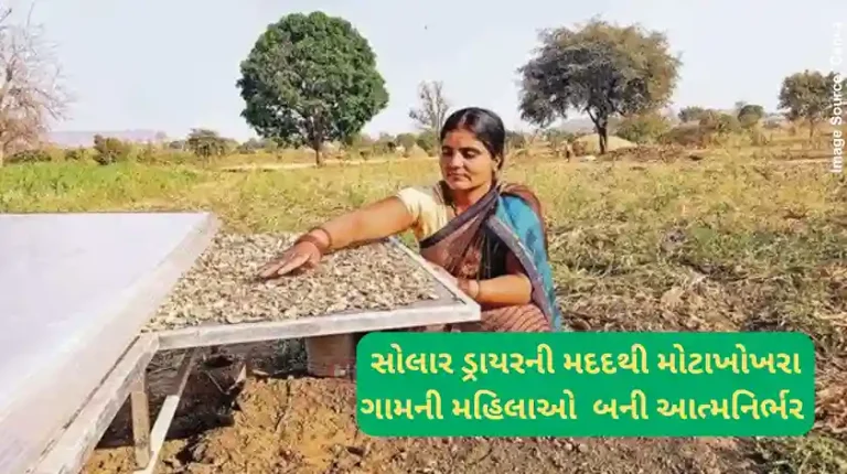 Solar Dryer Unit Solar Dryer Unit Bhavnagar A Solar Dryer Unit is empowering women farmers.