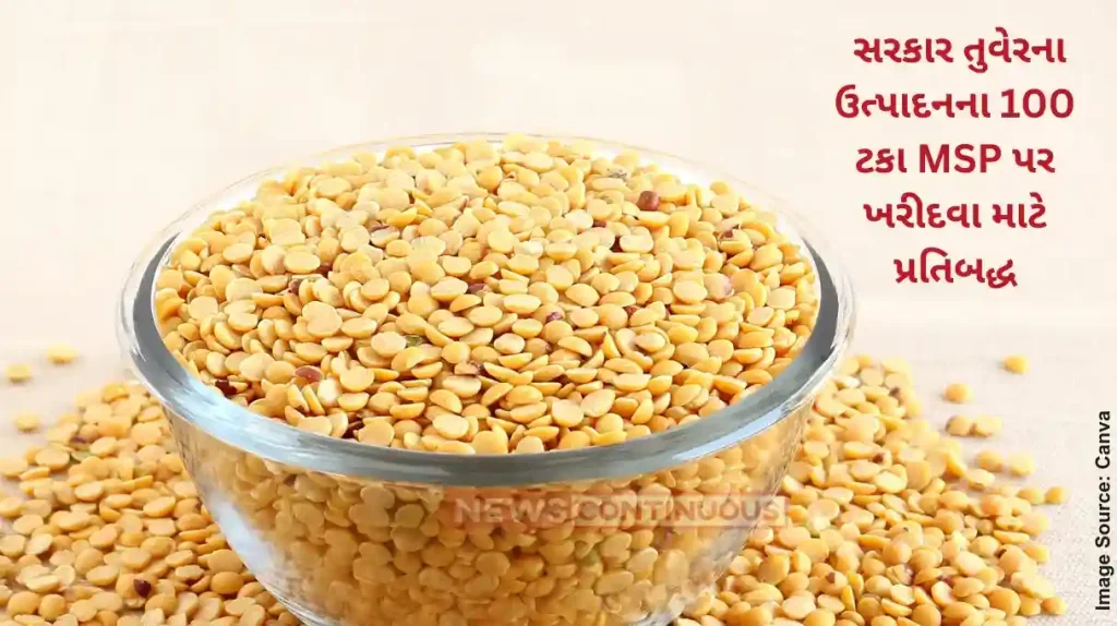 Tur Procurement MSP Govt procures 392 mlt of tur under price support scheme