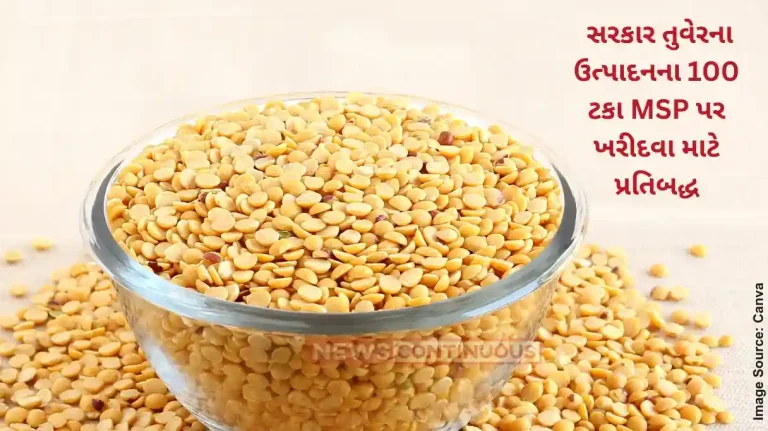 Tur Procurement MSP Govt procures 392 mlt of tur under price support scheme Tur Procurement MSP Govt procures 392 mlt of tur under price support scheme
