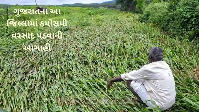 Unseasonal rains predicted in this district of Gujarat