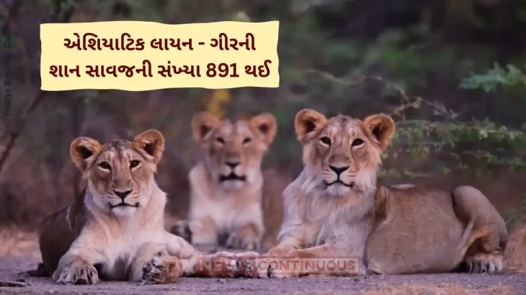 Asiatic Lions Gir Asiatic lion population in Gujarat goes up from 674 to 891 in 5 years, footprint expands too
