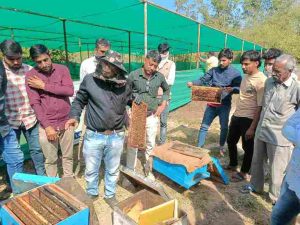 Bee Farming Vinodbhai Nakum from Dabholi area of ​​Surat left the diamond business and found a new identity through beekeeping