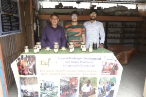 Bee Farming Vinodbhai Nakum from Dabholi area of ​​Surat left the diamond business and found a new identity through beekeeping