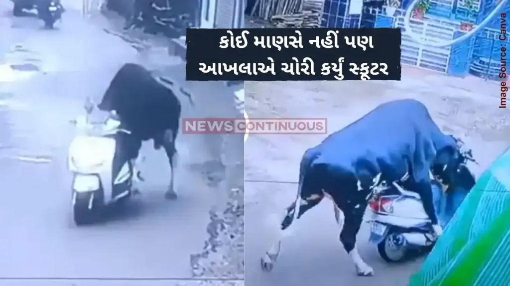 Bull Scooty Rides bull rides scooty on road in rishikesh of uttarakhand cctv footage goes viral
