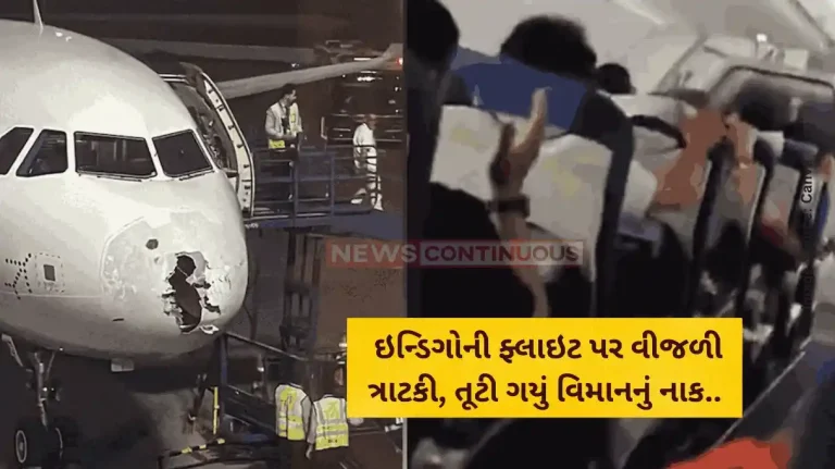 IndiGo Flight Passengers Scream As IndiGo Flight Hit By Turbulence, Aircraft Damaged