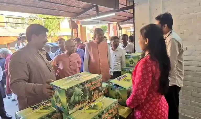 Kesar Keri Mahotsav 2025 begin at Vastrapur Haat in Ahmedabad Kesar Keri Mahotsav 2025 begin at Vastrapur Haat in Ahmedabad