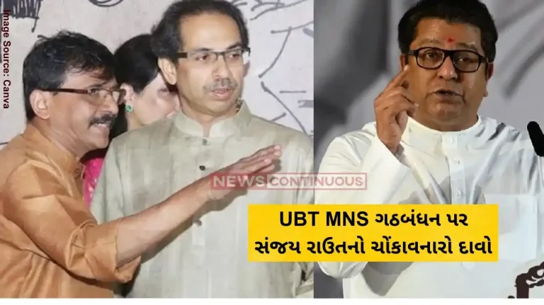 MNS Shiv Sena Alliance Sanjay Raut on Raj Thackeray and Uddhav Thackeray MNS Shiv Sena Alliance Sanjay Raut on Raj Thackeray and Uddhav Thackeray