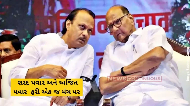 Maharashtra News Sharad Pawar, Ajit Pawar Share Stage Maharashtra News Sharad Pawar, Ajit Pawar Share Stage