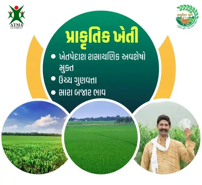 Natural Farming The spread of natural farming has increased due to various schemes of the state government to promote natural farming.
