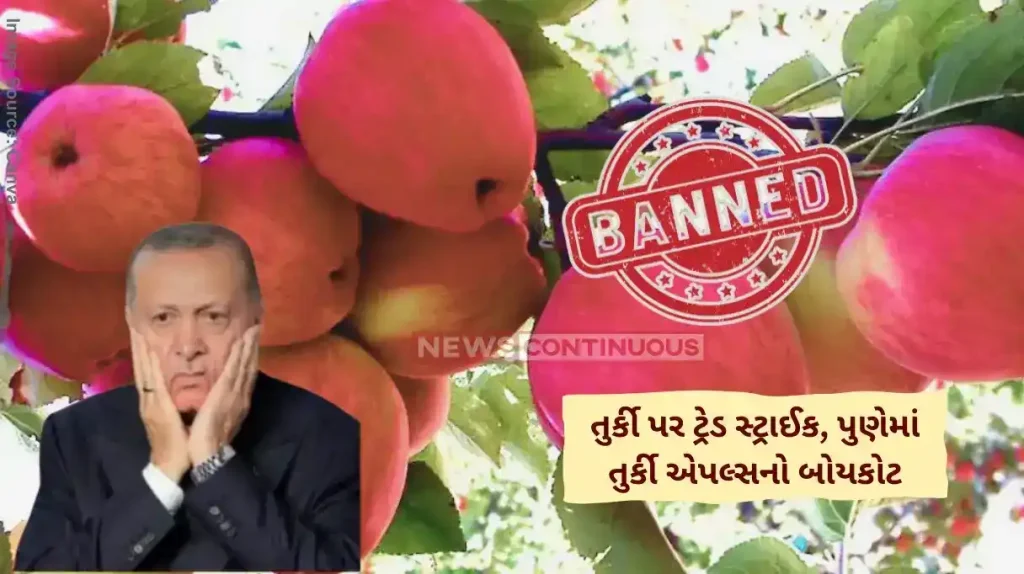Trade Strike on Turkey Udaipur marble traders halt exports, Pune boycotts Turkish apples