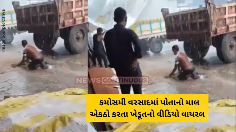 farmer Unseasonal Rain Farmer's Desperate Bid To Save Crop Amid Rain, Then A Call By Union Minister