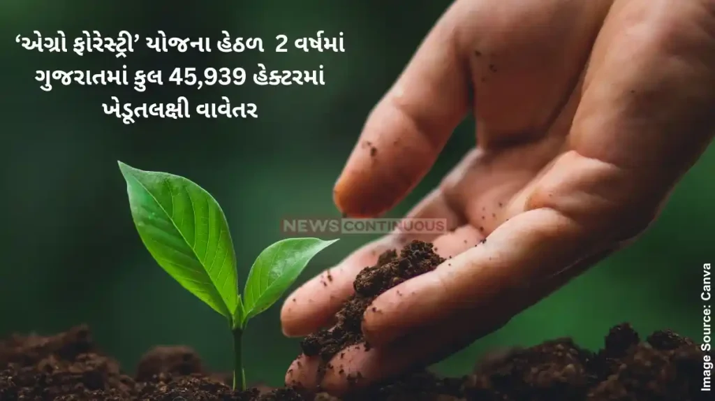 Agroforestry 45,939 hectares of farmer-oriented plantations have done in Gujarat in the last two years Under the ‘Agro Forestry’ scheme,