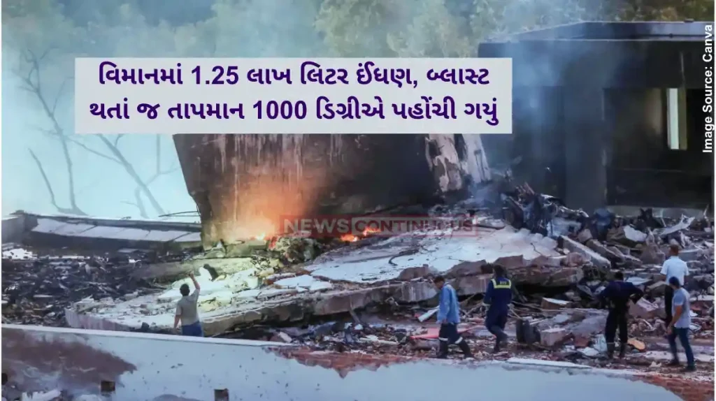 Air India Plane Crash Birds, dogs too faced the wrath, says SDRF official