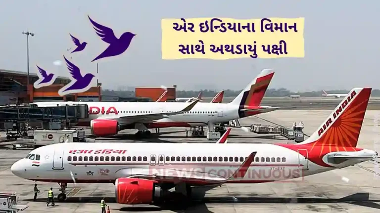 Air India flight Air India flight suffers bird-hit while flying to Pune, return journey to Delhi cancelled