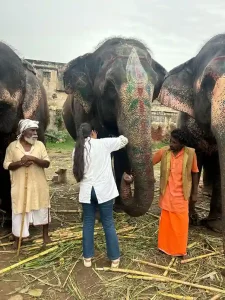 Jagannath Rath Yatra 2025 Elephants to undergo check-ups ahead of Ahmedabad Rath Yatra
