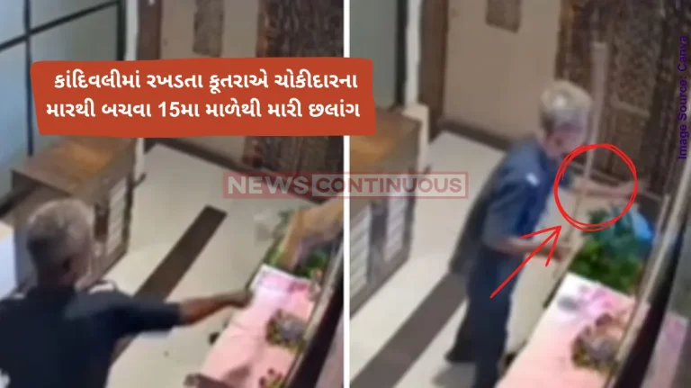 Kandivali Shocking Video Outrage after stray dog falls to death from 15th floor; Watchman seen chasing animal in CCTV