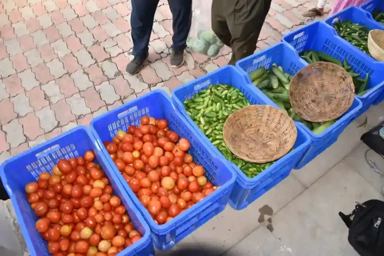 Krishi bazaar A natural agricultural market providing a platform for the sale of products of farmers practicing natural farming in Surat. Krishi bazaar A natural agricultural market providing a platform for the sale of products of farmers practicing natural farming in Surat.