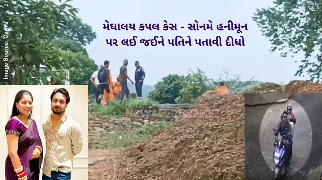 Meghalaya honeymoon murder case Wife among four held; cops say she 'hired killers'