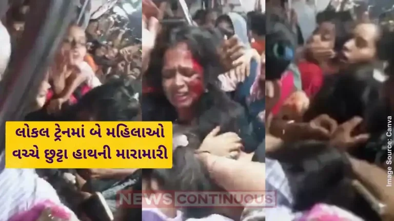 Mumbai Local Fight Two women fight with each other on Mumbai local train, pull each other's hair