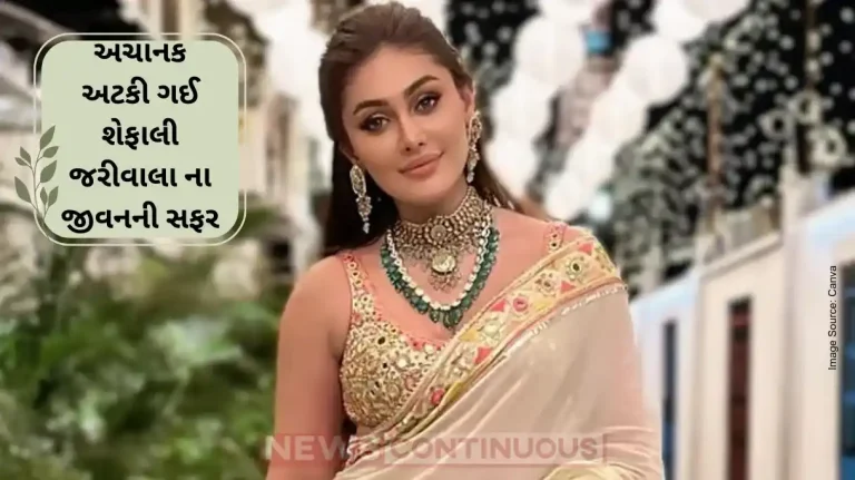 Shefali Jariwala Passes Away From Engineering Books to Bigg Boss Fame know actress Life Ends Mid-Remix