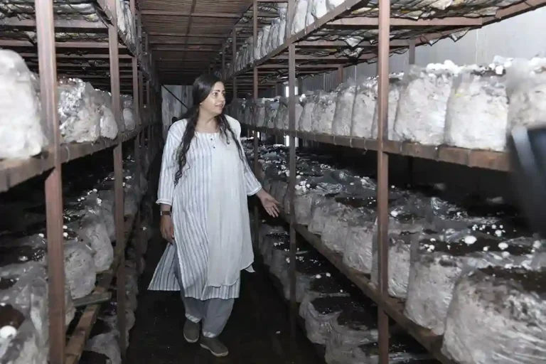 Viksit Krishi Sankalp Abhiyan Massive mushroom production through modern farming