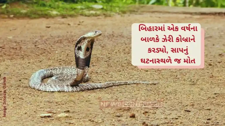 Child killed Snake: one-year-old child was killed by a cobra bite