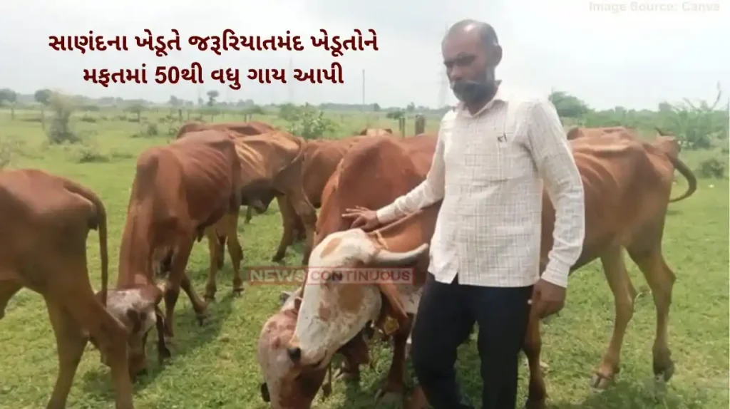 Cow Donation Farmer Sanand Farmer Donates 50 Cows to Promote Natural Farming