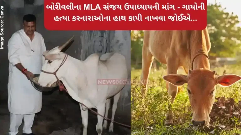 Maharashtra illegal slaughterhouses Hands of those who kill cows should be cut off says Sanjay Upadhyay Maharashtra illegal slaughterhouses Hands of those who kill cows should be cut off says Sanjay Upadhyay