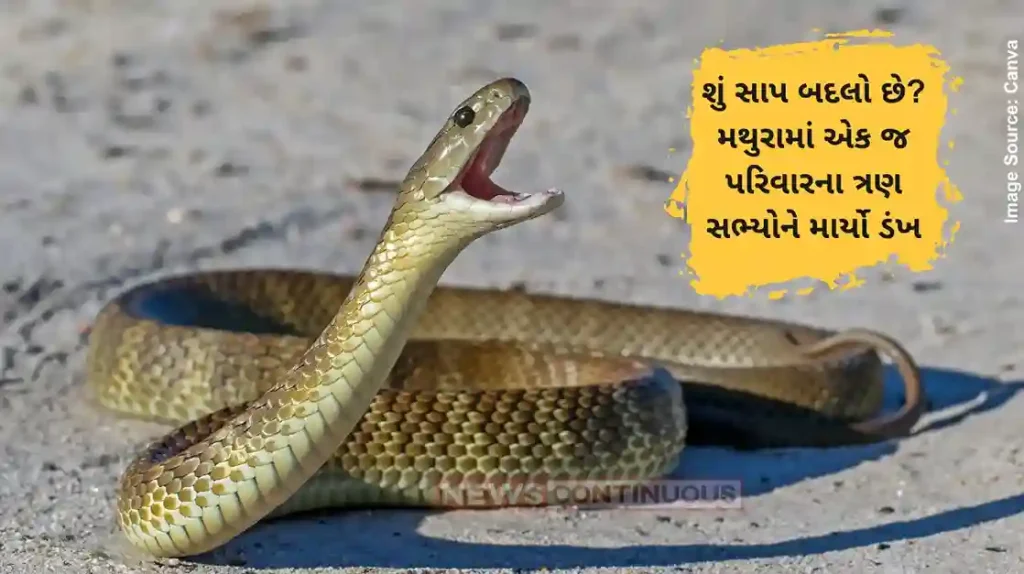 Mathura Snake Bite Snake Revenge Story Mathura 3 Family Members Bitten In 3 Days