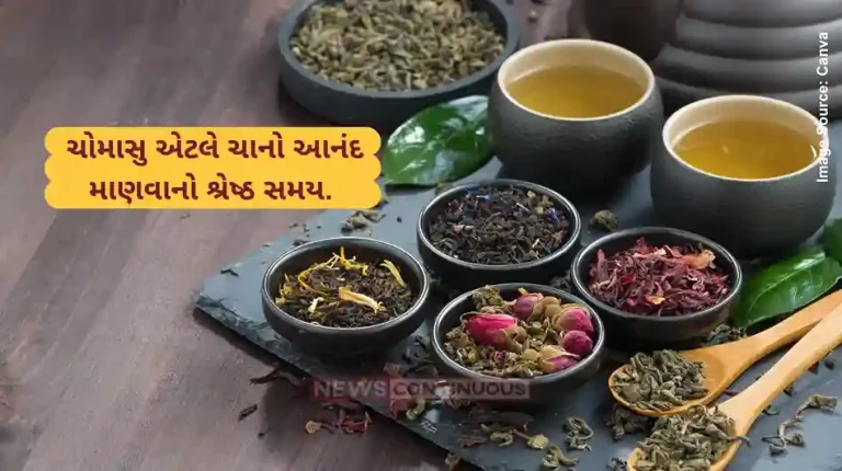 Monsoon Tea 5 flavourful tea to make your monsoon special