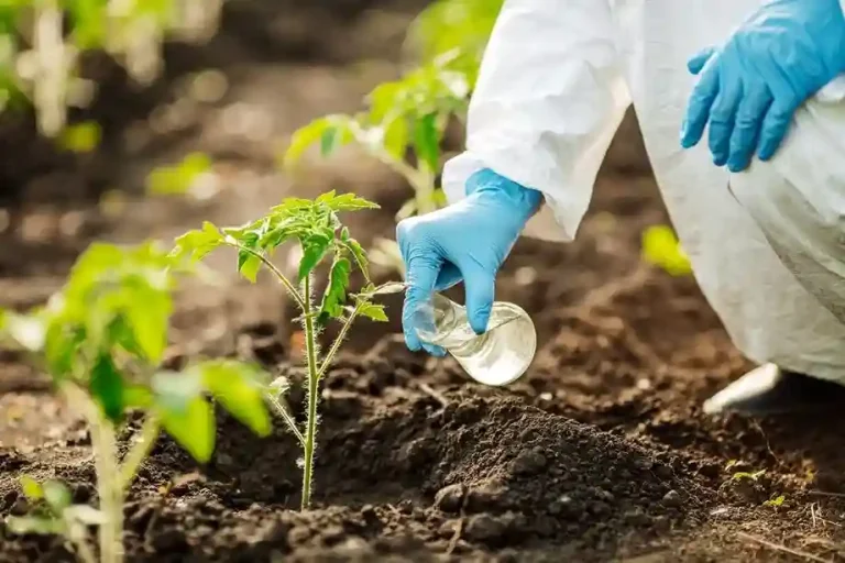 Natural Farming Soil and water testing is essential for effective production in natural farming (Part-3)