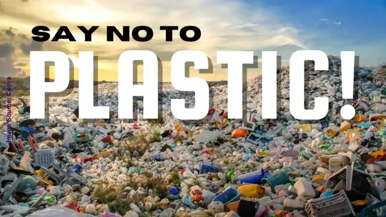 Say No to Plastic Say No to Plastic