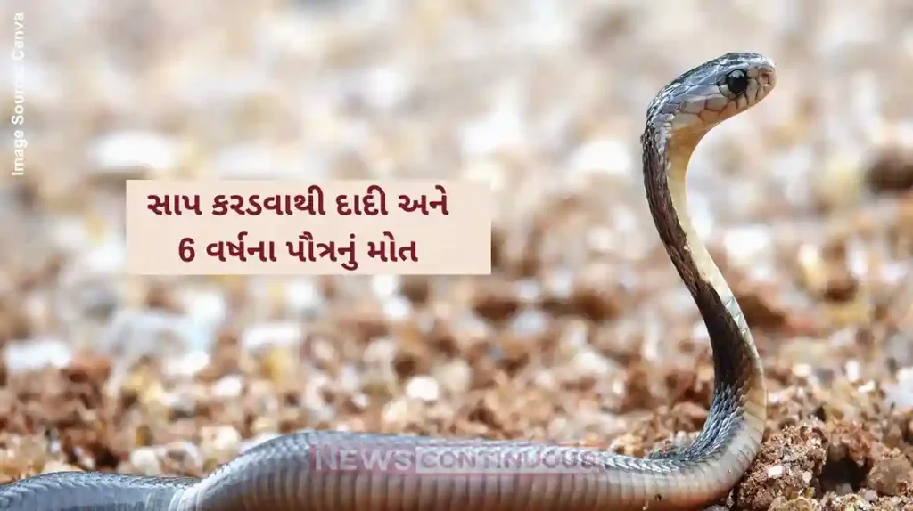 Snake Bite Death Snake Bite Grandmother Grandson Sleeping Together Both Die Painful Death Ballia Up News