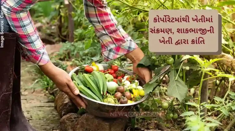 Success Story Young Woman Builds 1.5 Crore Empire In Agriculture After Quitting Corporate Job Success Story Young Woman Builds 1.5 Crore Empire In Agriculture After Quitting Corporate Job