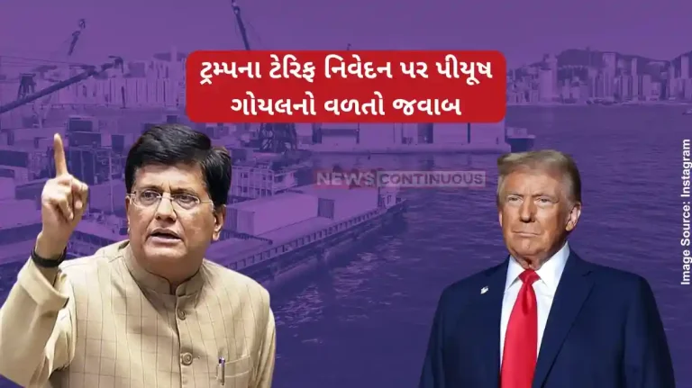 US Tariff India Piyush Goyal Says Govt Focused On India's Interest After Trump's Tariff