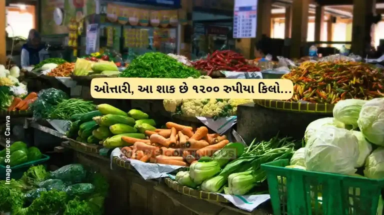 Vegetable Price Hike This vegetable is being sold in the market for Rs 1200 per kg! Will you be surprised to hear the name