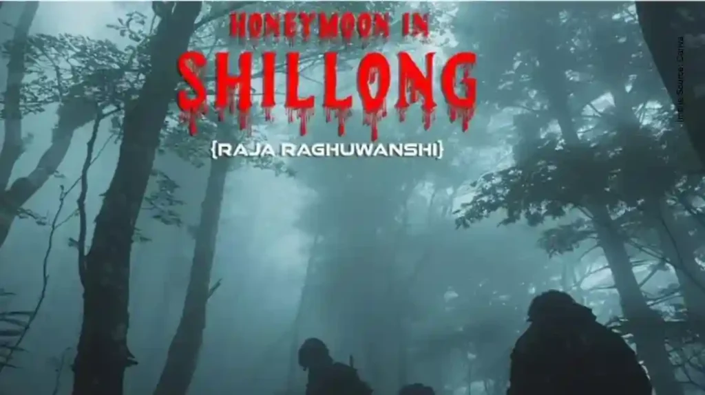 honeymoon in shillong film on raja raghuvanshi honeymoon murder announced